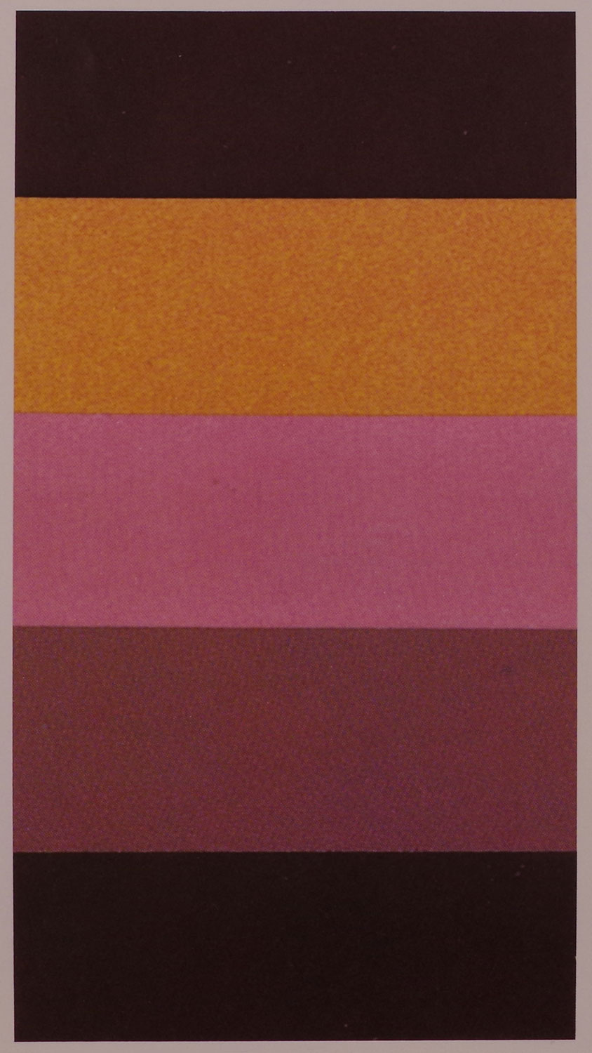 The original colour palette proposed by the architects.