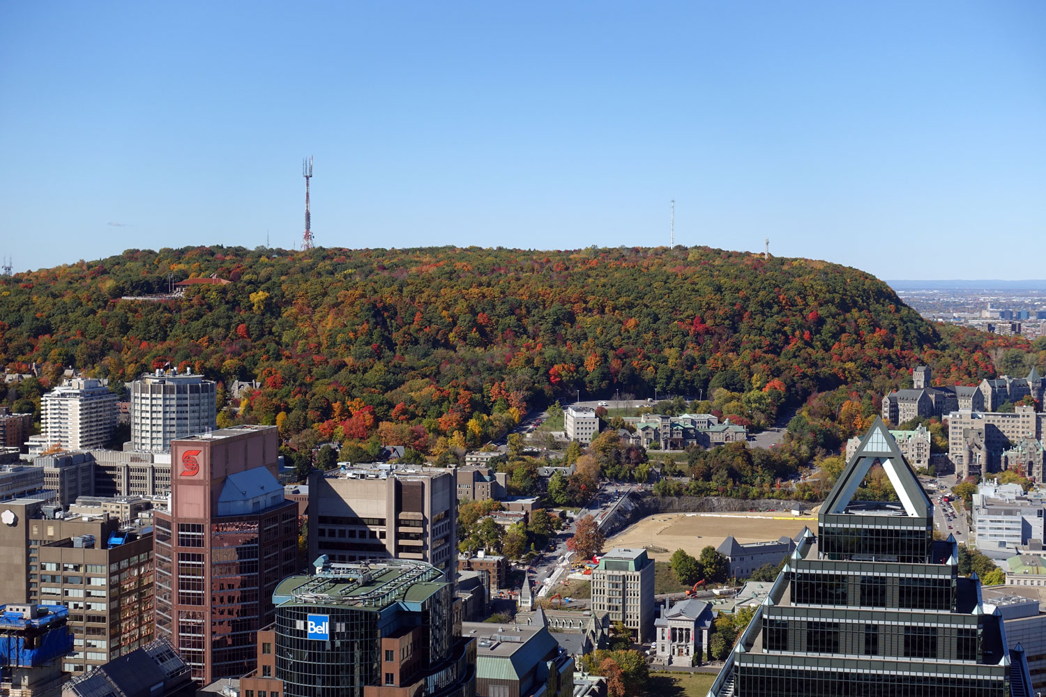 Le mont Royal vu de la Place Ville-Marie.