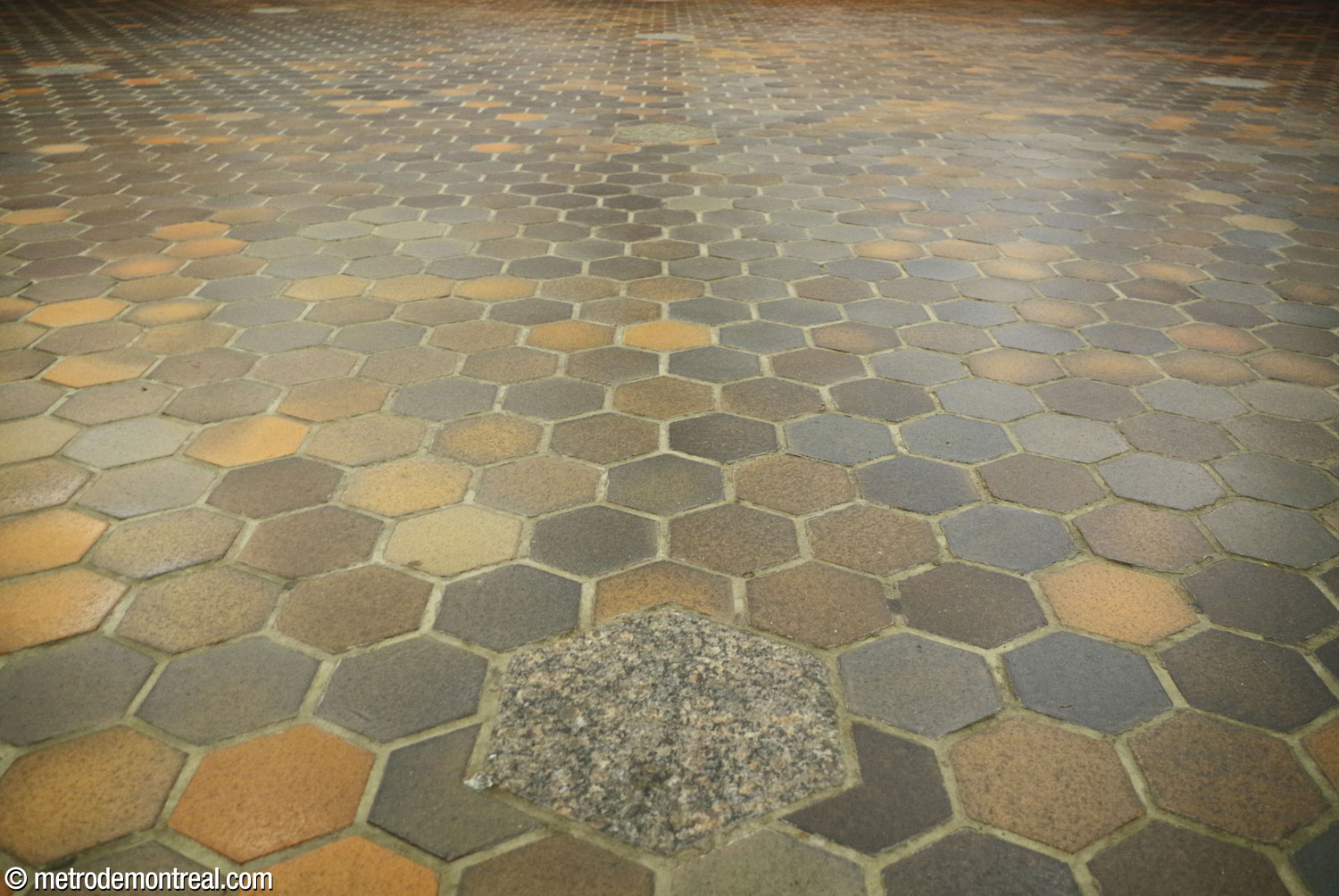 The hexagonal terra cotta floor tiles used throughout the station repeat the hexagonal shapes of many elements, notably the support pillars, as well as the hexagons formed by triangular elements such as the ceiling coffers.